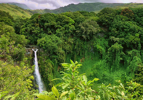 Phnom Prich Sanctuary